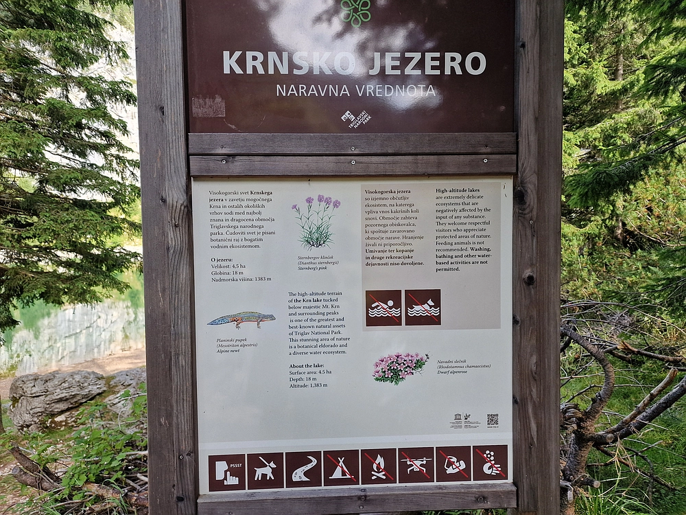 Slika je vidna v Google Chromu.