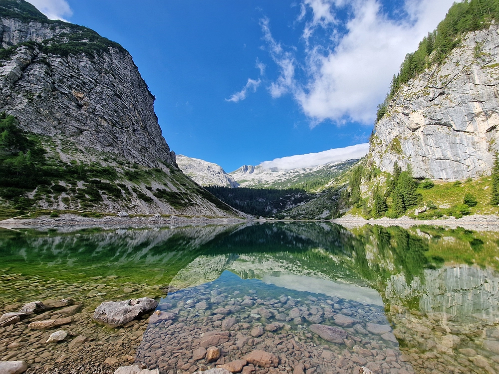 Slika je vidna v Google Chromu.