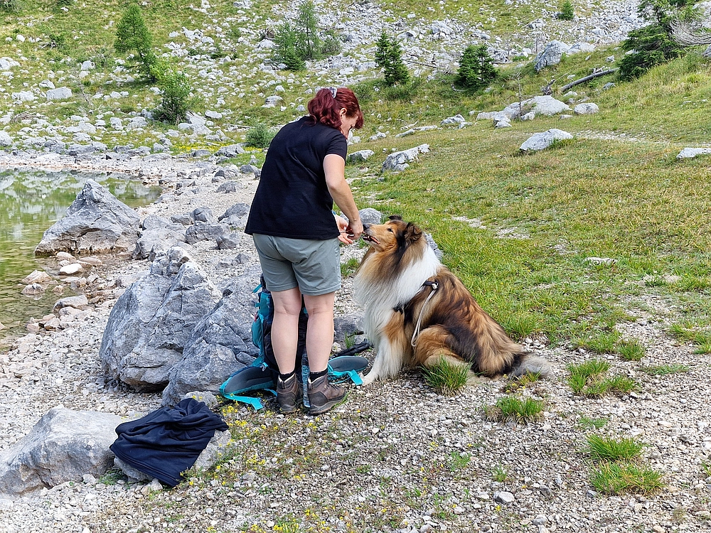 Slika je vidna v Google Chromu.