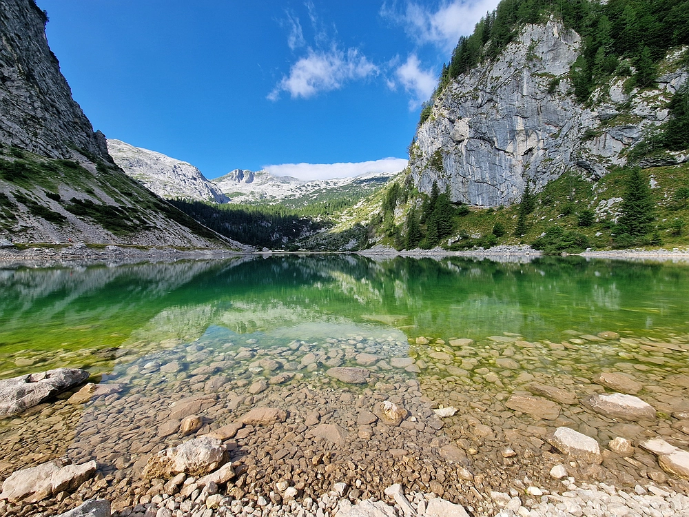 Slika je vidna v Google Chromu.