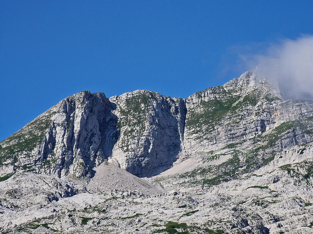 Slika je vidna v Google Chromu.