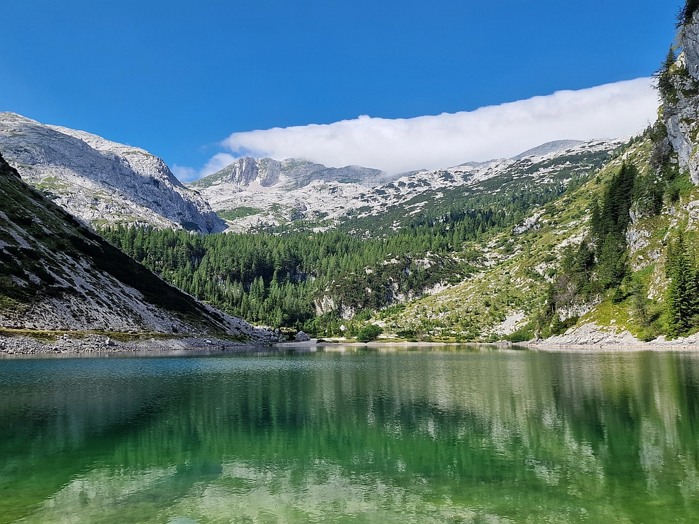 Slika je vidna v Google Chromu.