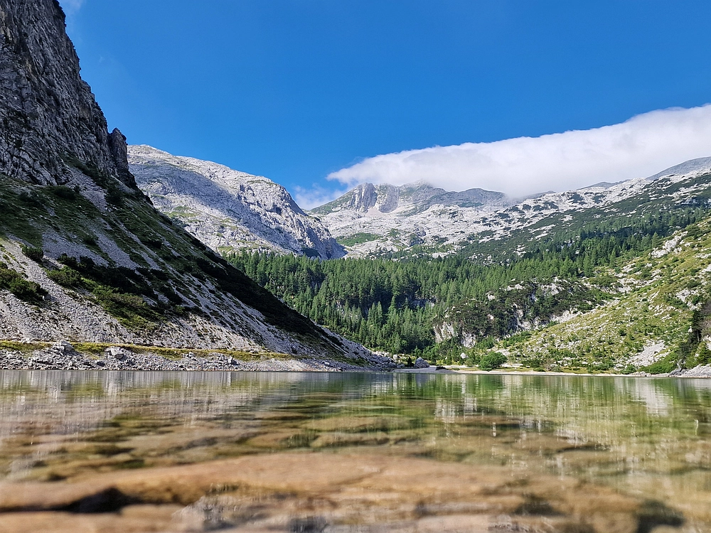 Slika je vidna v Google Chromu.