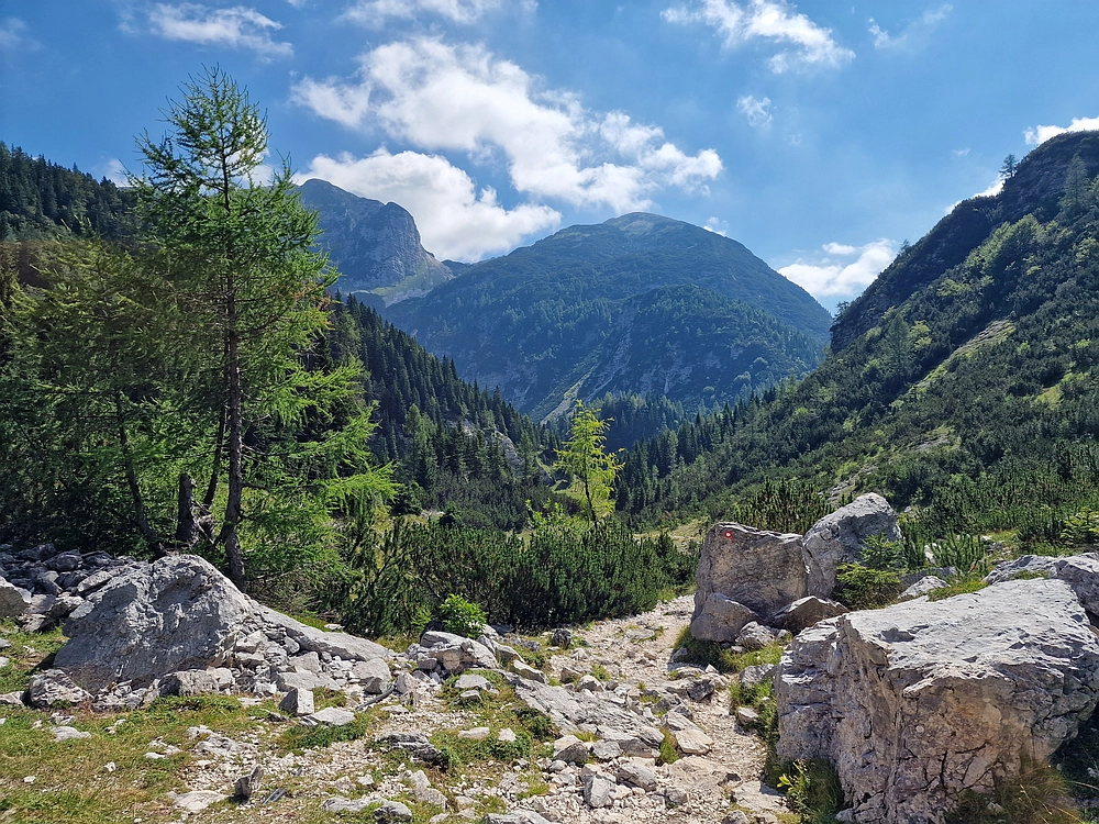 Slika je vidna v Google Chromu.