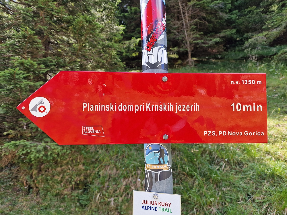 Slika je vidna v Google Chromu.