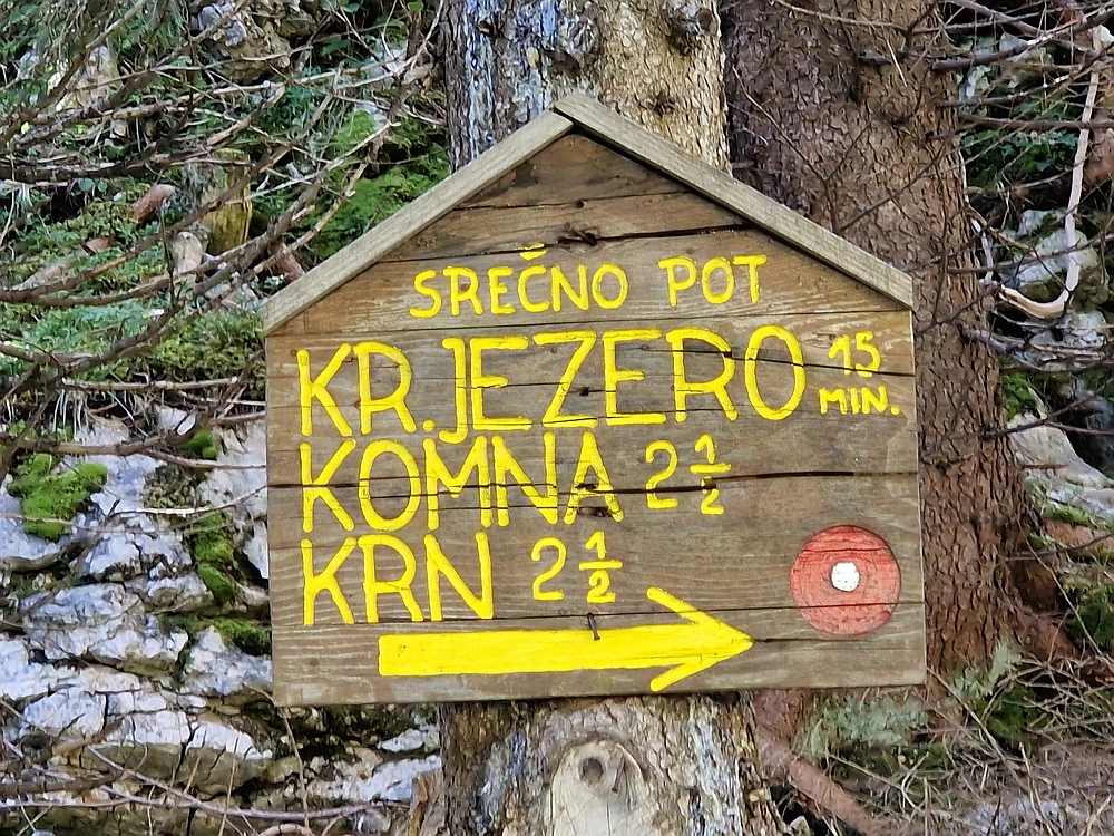 Slika je vidna v Google Chromu.