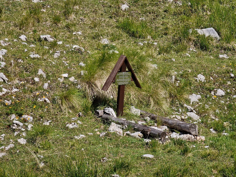 Slika je vidna v Google Chromu.