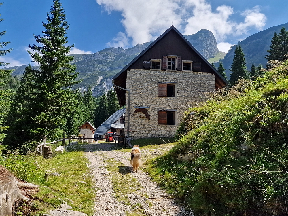 Slika je vidna v Google Chromu.