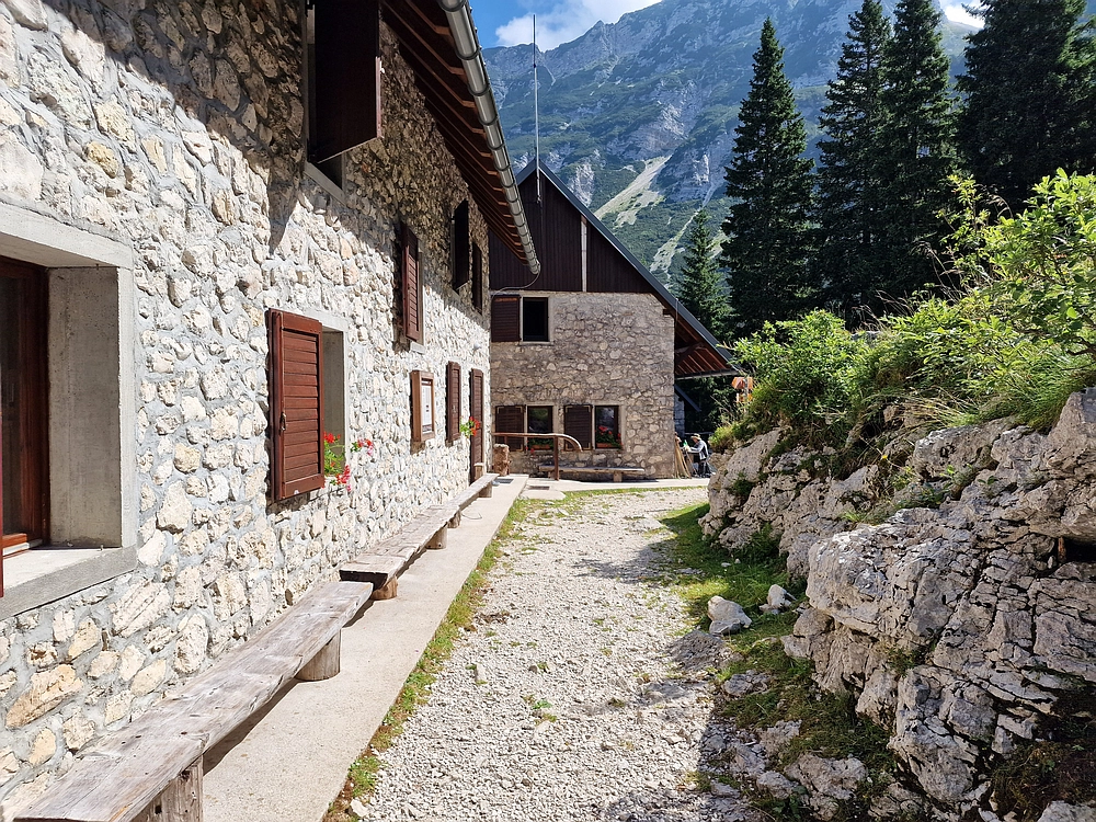 Slika je vidna v Google Chromu.