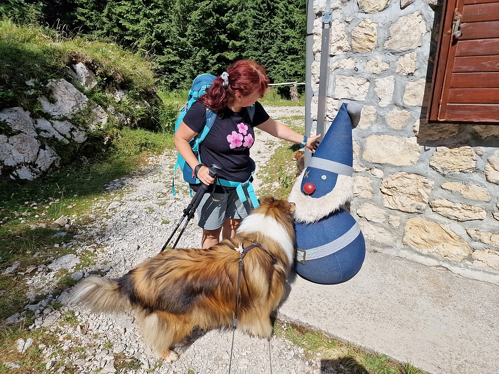 Slika je vidna v Google Chromu.