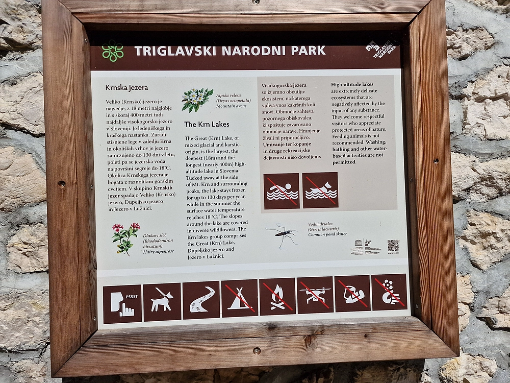 Slika je vidna v Google Chromu.