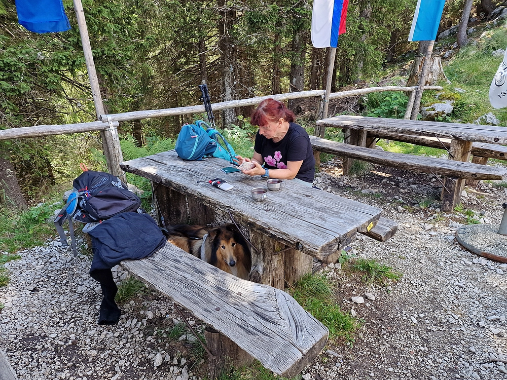 Slika je vidna v Google Chromu.