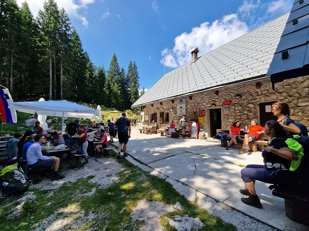 Slika je vidna v Google Chromu.