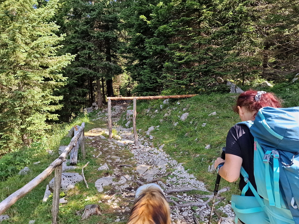 Slika je vidna v Google Chromu.