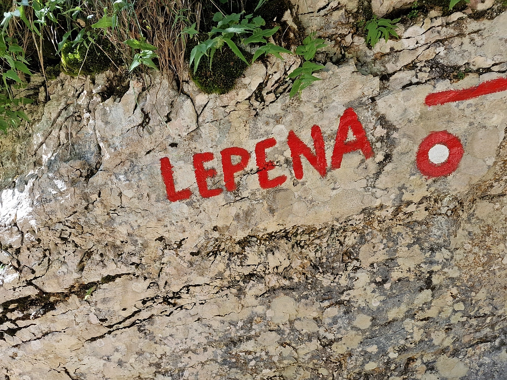 Slika je vidna v Google Chromu.