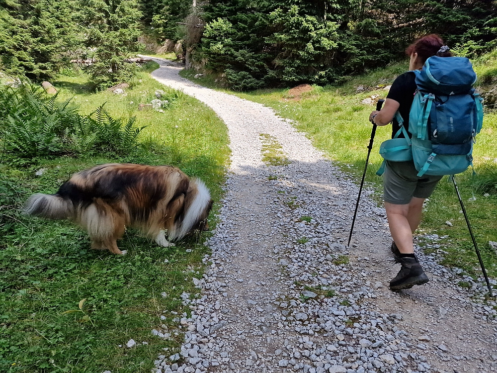 Slika je vidna v Google Chromu.