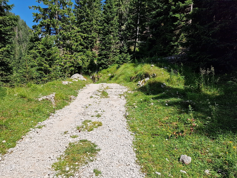 Slika je vidna v Google Chromu.