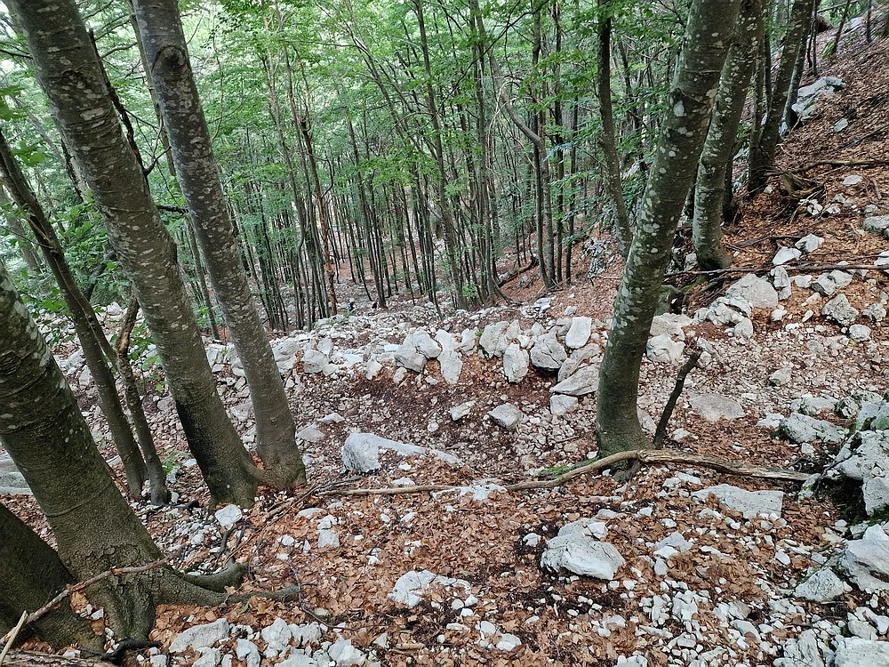 Slika je vidna v Google Chromu.