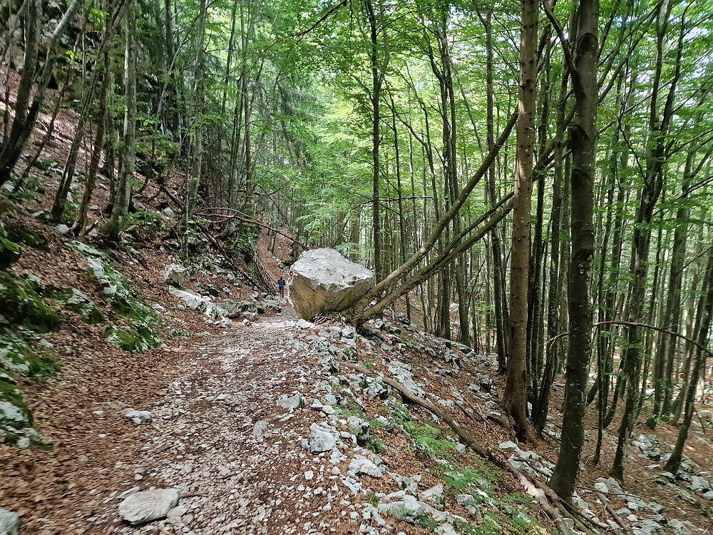 Slika je vidna v Google Chromu.