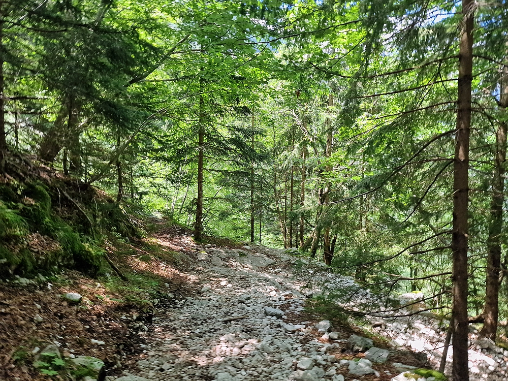 Slika je vidna v Google Chromu.