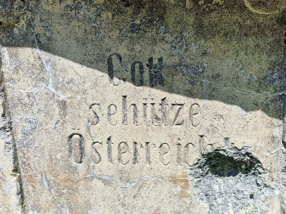 Slika je vidna v Google Chromu.