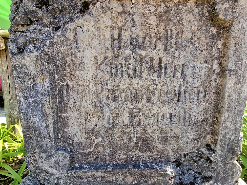 Slika je vidna v Google Chromu.