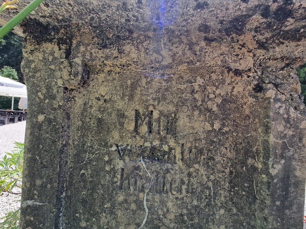 Slika je vidna v Google Chromu.