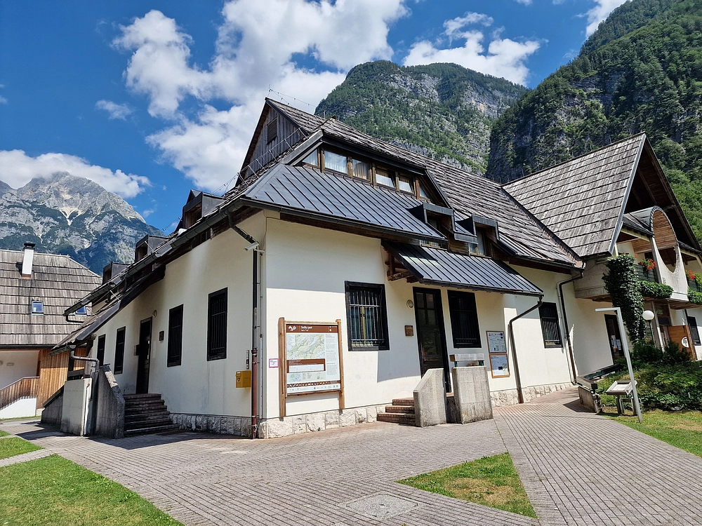 Slika je vidna v Google Chromu.