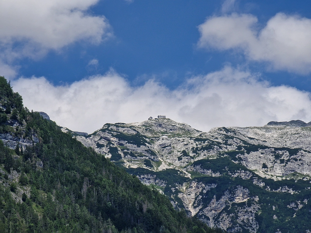 Slika je vidna v Google Chromu.