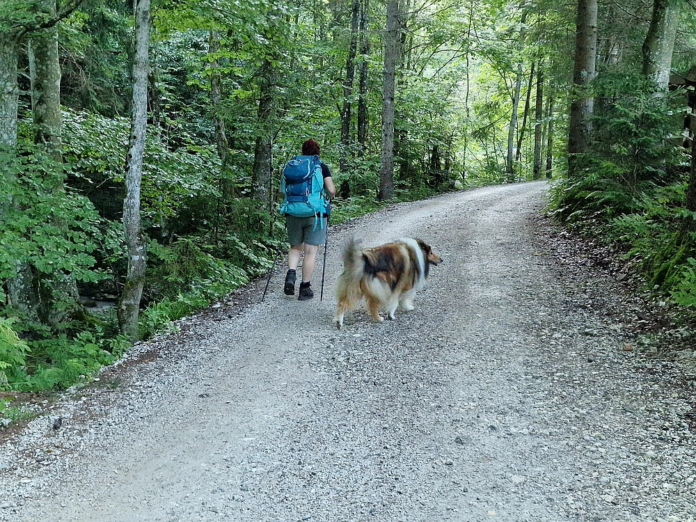 Slika je vidna v Google Chromu.
