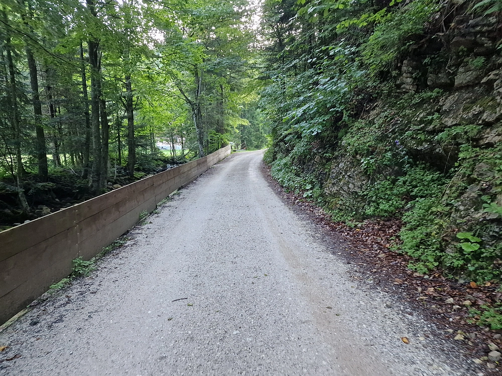 Slika je vidna v Google Chromu.