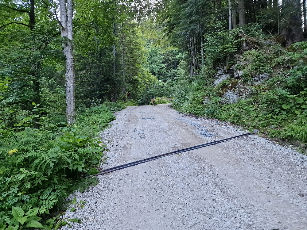 Slika je vidna v Google Chromu.