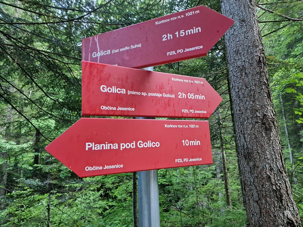 Slika je vidna v Google Chromu.