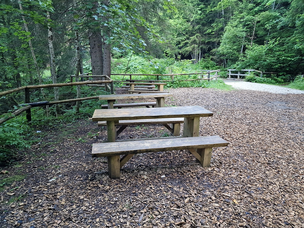 Slika je vidna v Google Chromu.