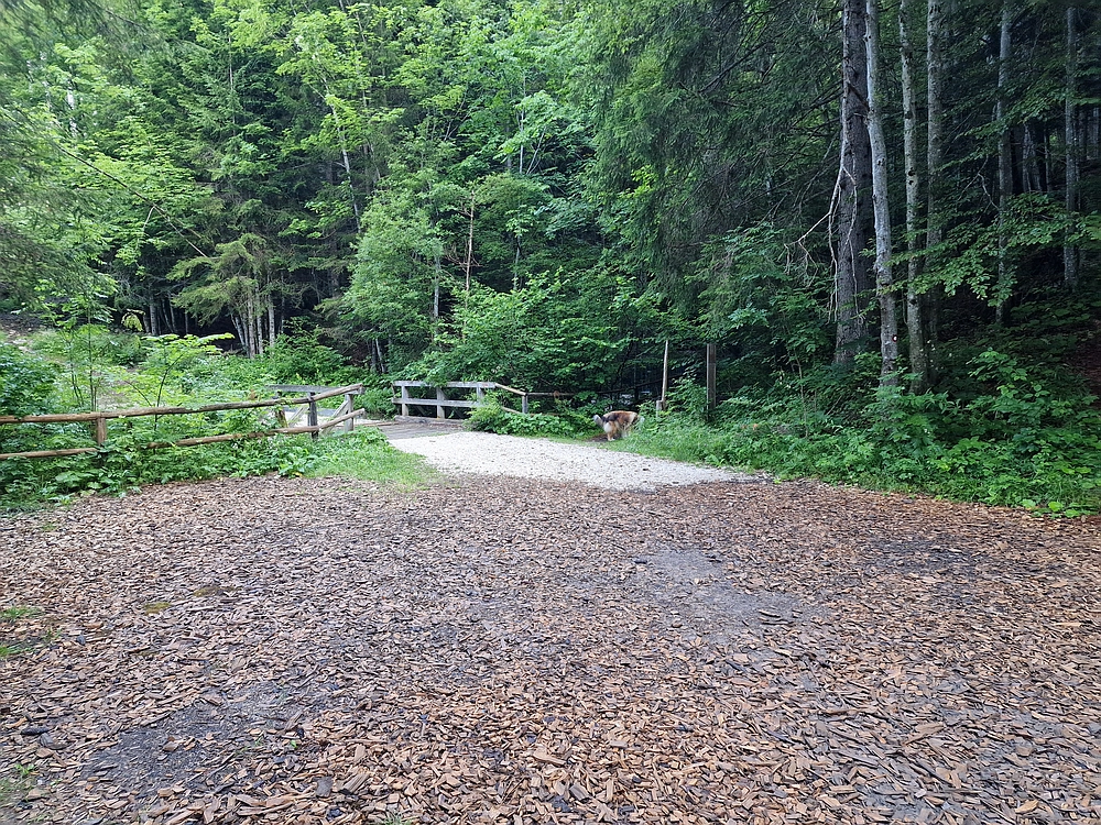 Slika je vidna v Google Chromu.