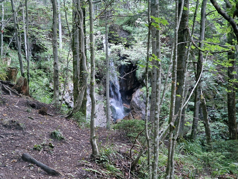 Slika je vidna v Google Chromu.