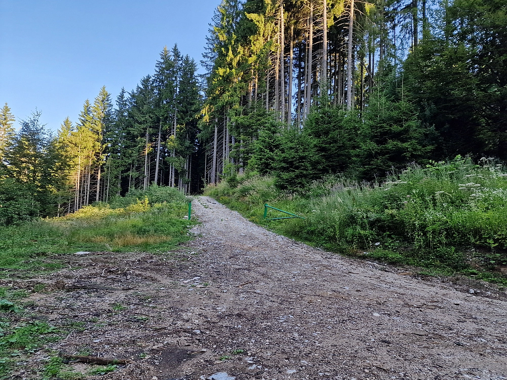 Slika je vidna v Google Chromu.