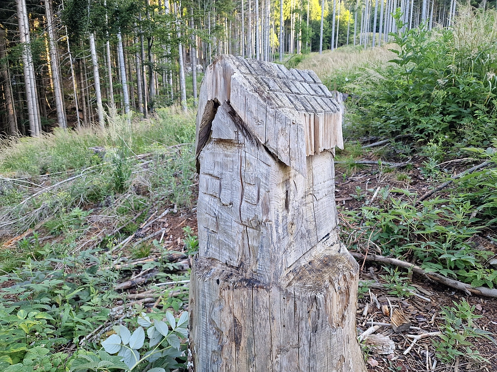 Slika je vidna v Google Chromu.