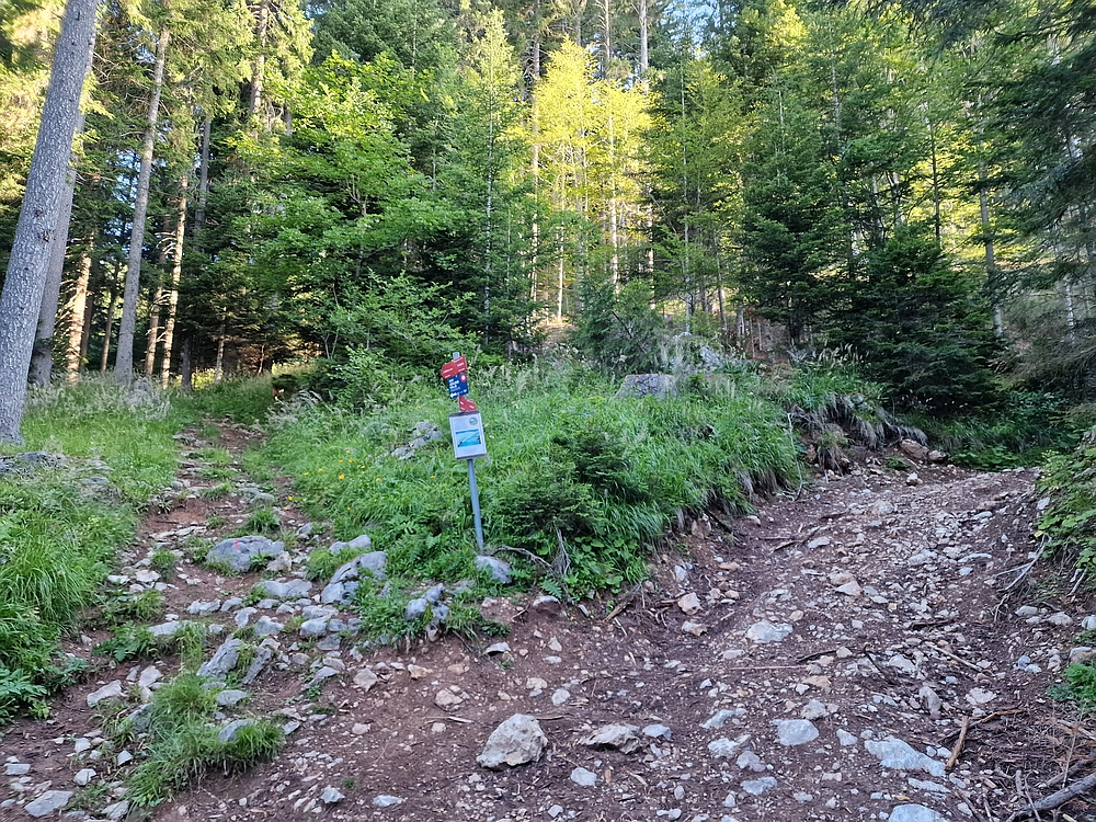 Slika je vidna v Google Chromu.