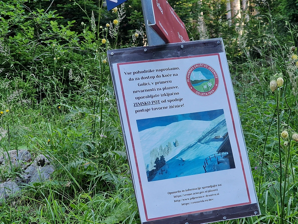 Slika je vidna v Google Chromu.