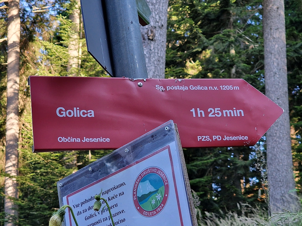 Slika je vidna v Google Chromu.