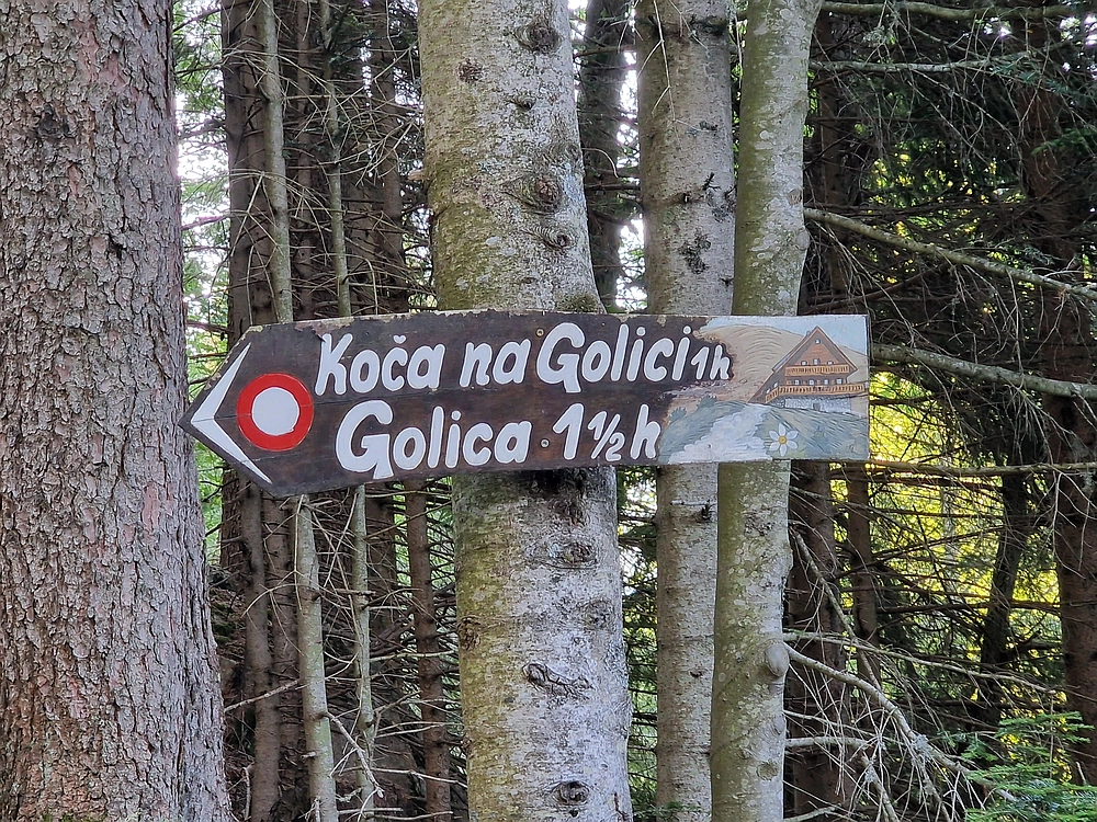 Slika je vidna v Google Chromu.