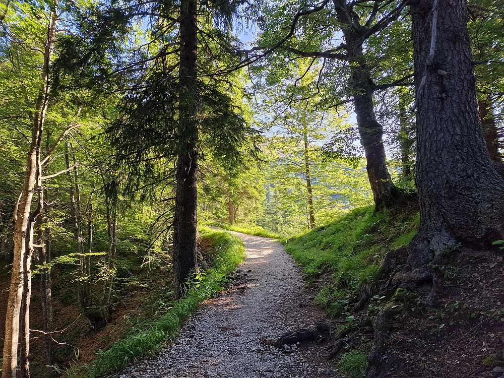 Slika je vidna v Google Chromu.