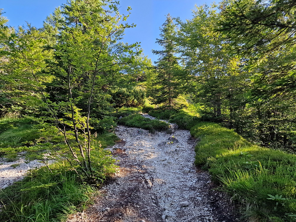 Slika je vidna v Google Chromu.