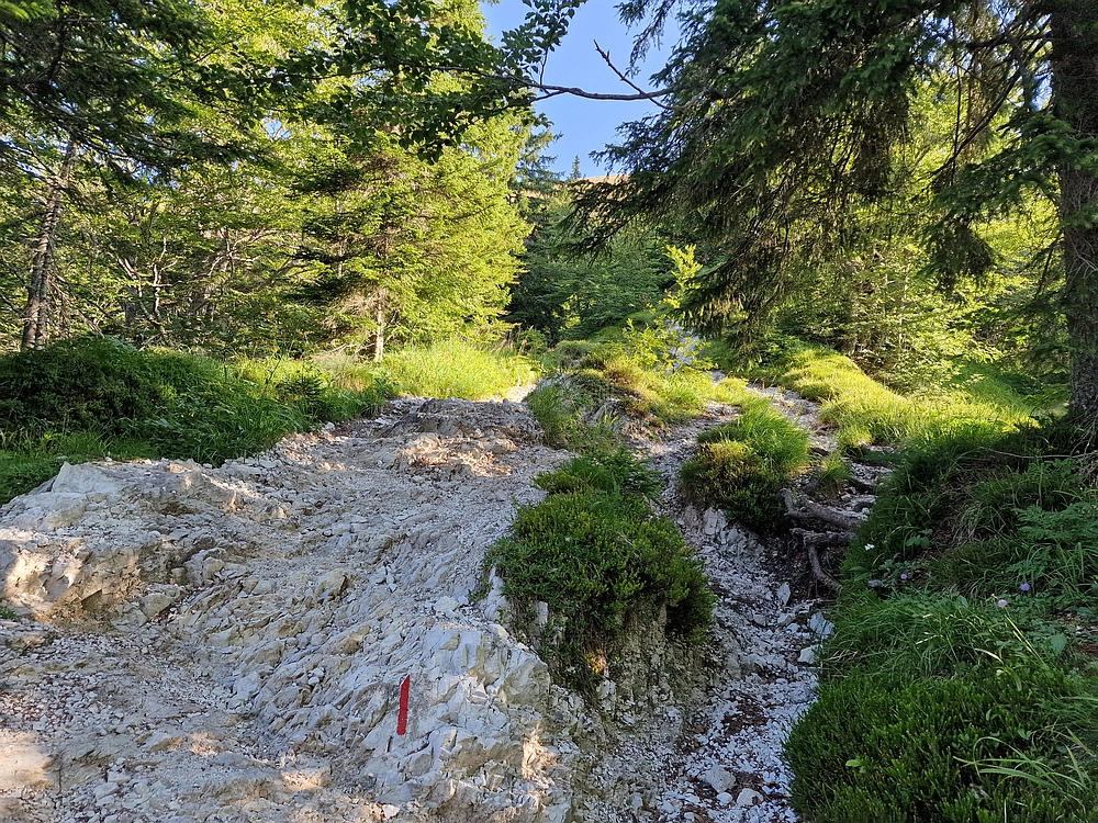 Slika je vidna v Google Chromu.