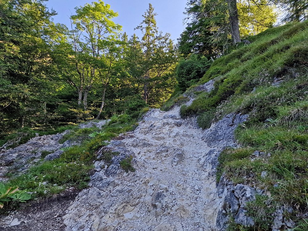 Slika je vidna v Google Chromu.