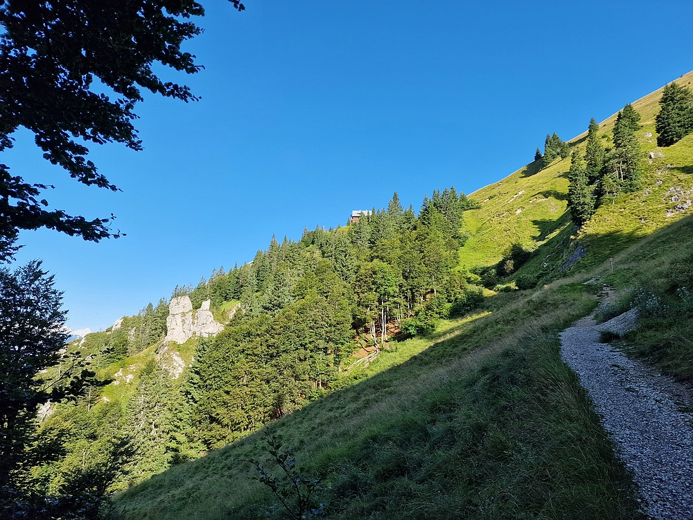 Slika je vidna v Google Chromu.