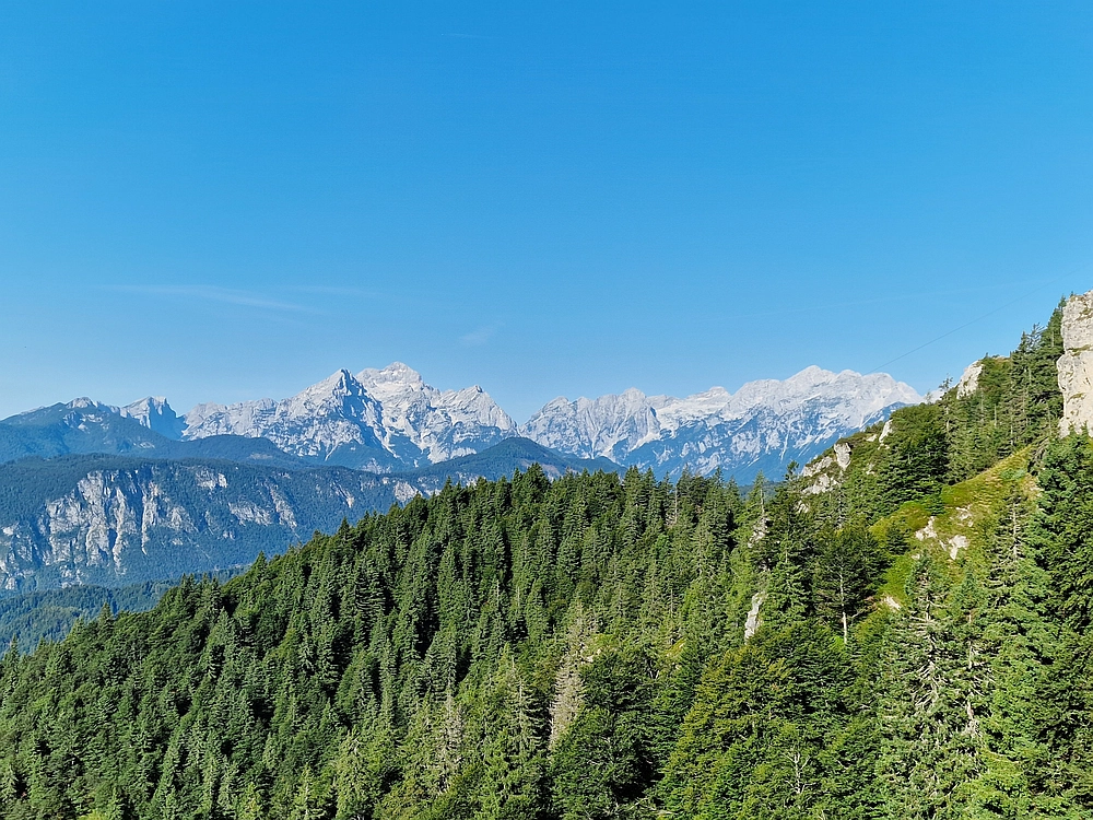 Slika je vidna v Google Chromu.