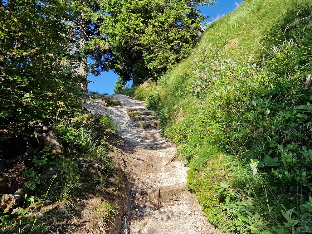 Slika je vidna v Google Chromu.