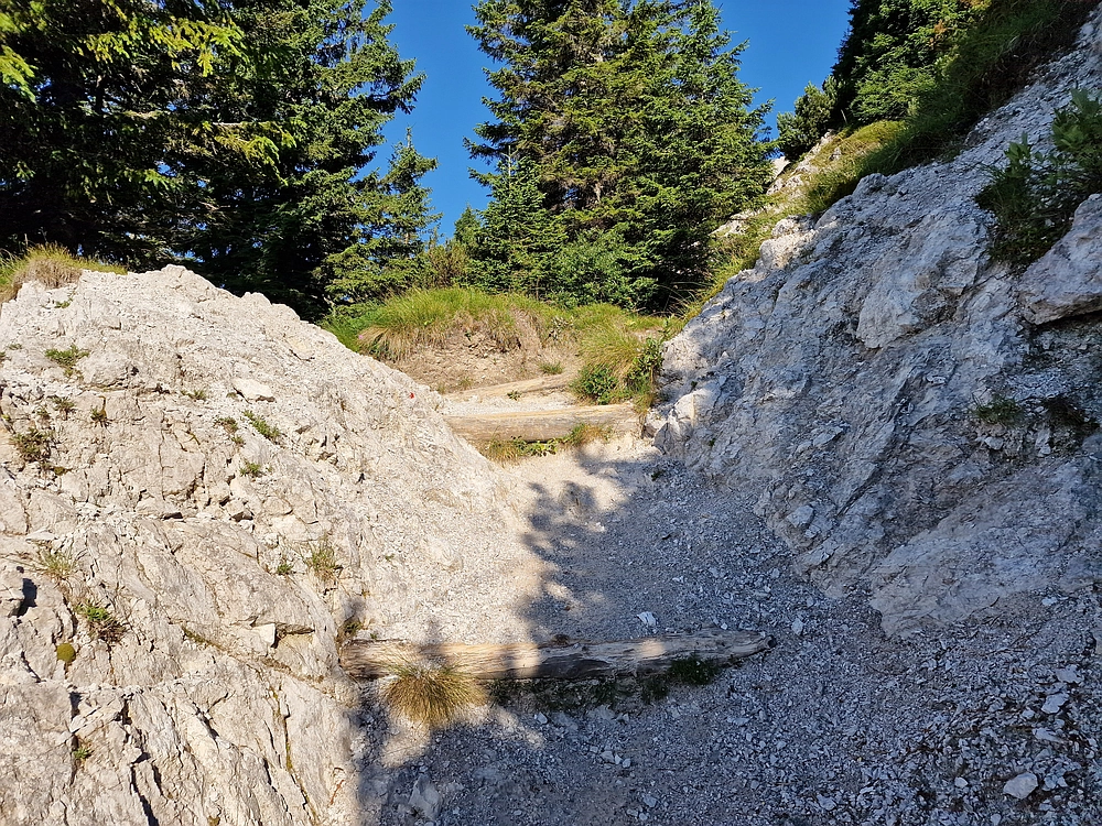 Slika je vidna v Google Chromu.